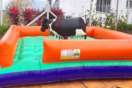 touro mecânico inflável